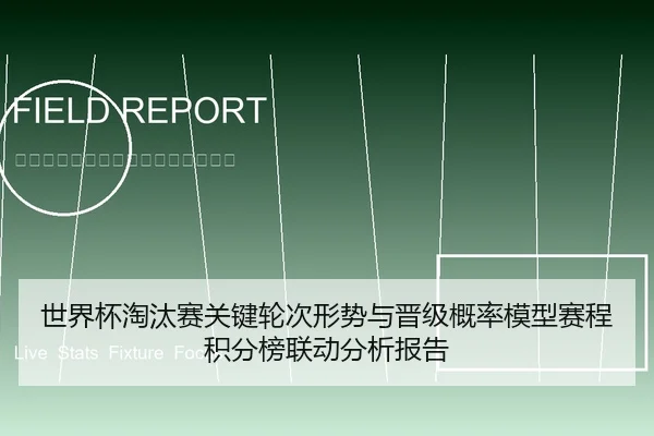 世界杯淘汰赛关键轮次形势与晋级概率模型赛程积分榜联动分析报告